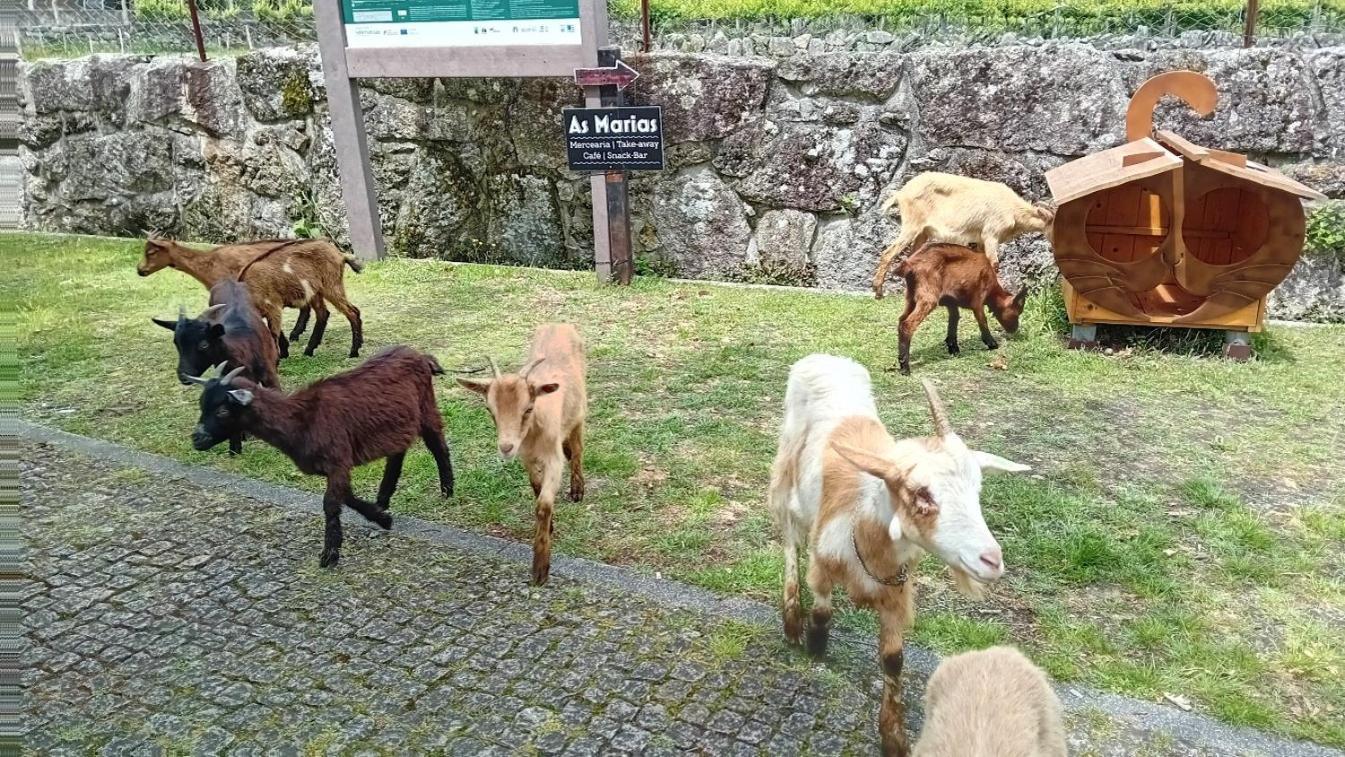 Chalet Do Soajo 阿尔库什迪瓦尔德维什 外观 照片